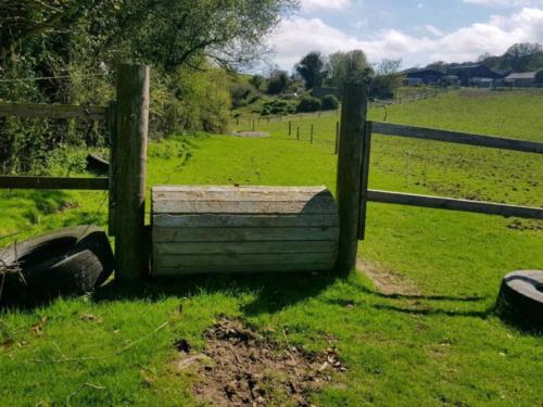 Cross country at Kilmullen Livery