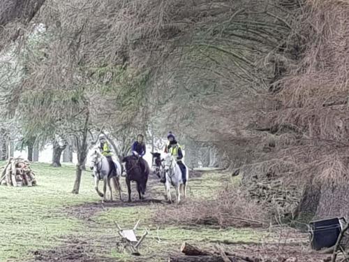 Happy hacking at Kilmullen Livery