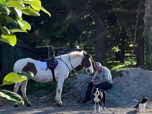 Horse Rest Time