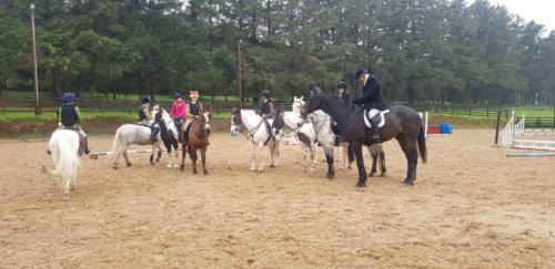 Horse lesson in the arena