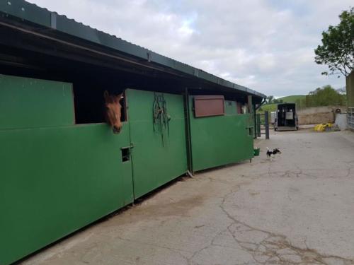 Horse stables