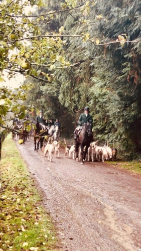 Kilmullen Livery Hunt (6)