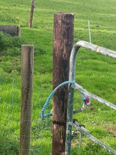 Kilmullen Livery gate posts