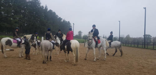 Lesson time at Kilmullen Livery