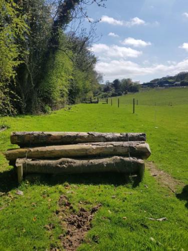 Log jump at Kilmullen Livery