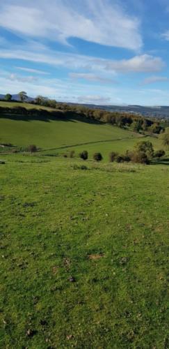 Pano view at Kilmullen Livery