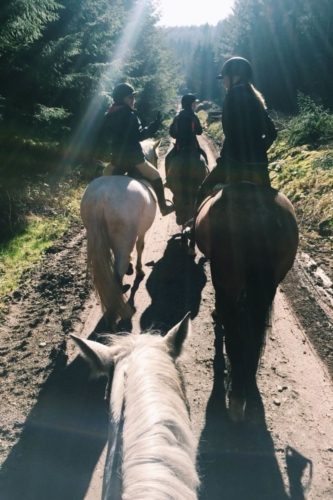 Road hack in sun