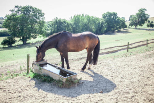 Thirsty work